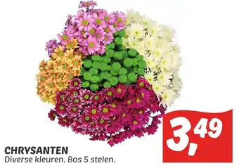 Dekamarkt Chrysanten aanbieding