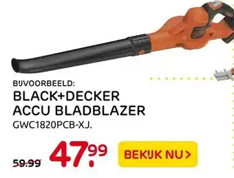 Praxis Black+Decker Accu Bladblazer Gwc1820Pcb-Xj. aanbieding