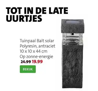 Intratuin Tuinpaal Balt Solar aanbieding