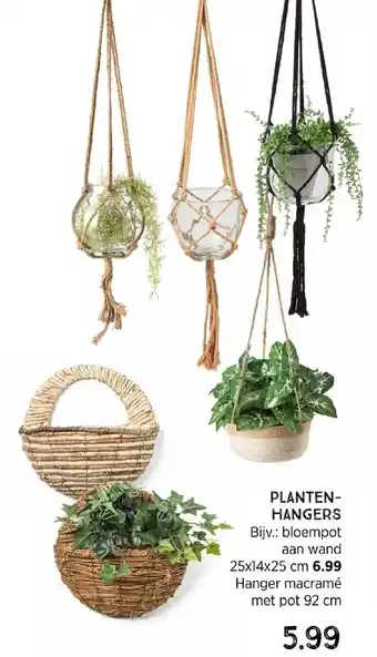 Xenos Planten- Hangers 92 cm aanbieding