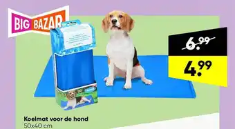 Big Bazar Koelmat Voor De Hond aanbieding