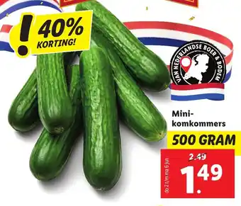 Lidl Mini- komkommers 500g aanbieding