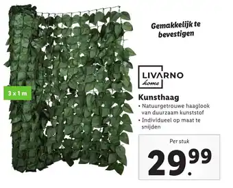 Lidl Livarno home kunsthaag aanbieding