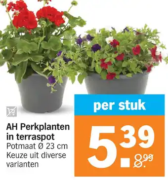 Albert Heijn AH Perkplanten in terraspot aanbieding