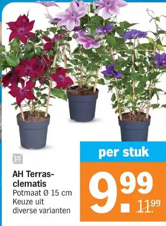 Albert Heijn AH Terras- clematis aanbieding
