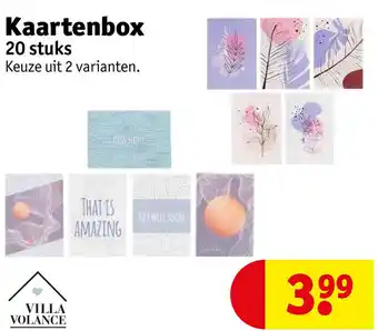 Kruidvat Kaartenbox 20 stuks aanbieding