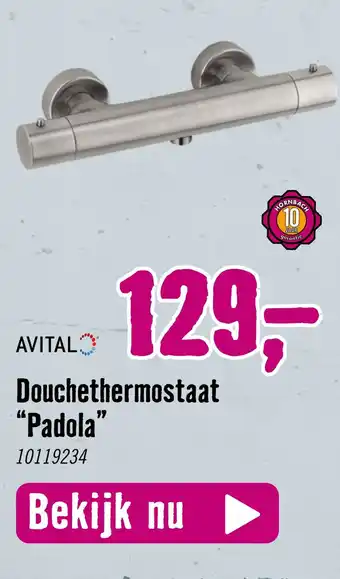 Hornbach Douchethermostaat "Padola" aanbieding