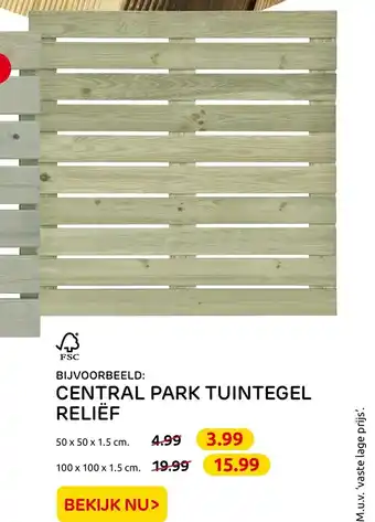 Praxis Central Park Tuintegel Relief 50x50x1.5 cm aanbieding