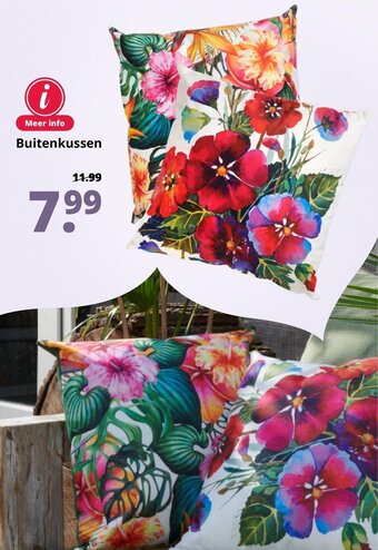 GroenRijk Buitenkussen aanbieding