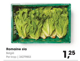 HANOS Romaine sla aanbieding