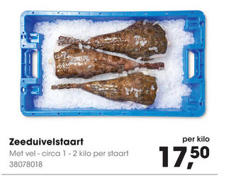 HANOS Zeeduivelstaart aanbieding