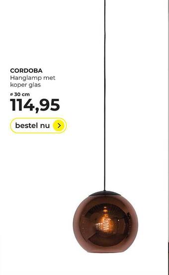 Lampidee Cordoba Hanglamp Met Koper Glas aanbieding