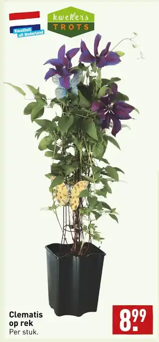 ALDI Clematis op rek aanbieding