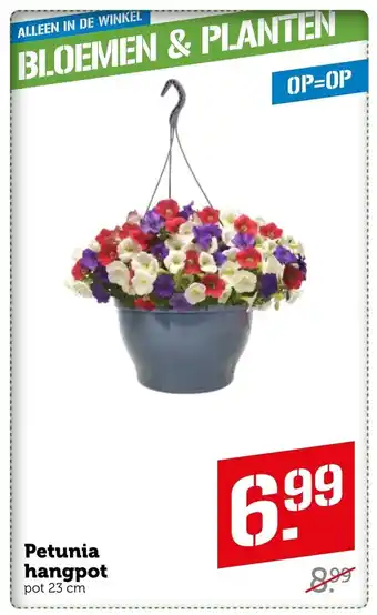 Coop Petunia hangpot 23 cm aanbieding