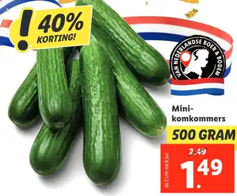 Lidl Mini- komkommers aanbieding