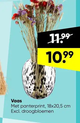 Big Bazar Vaas aanbieding