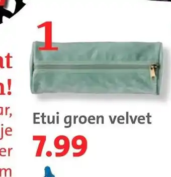 Bruna Etui groen velvet aanbieding