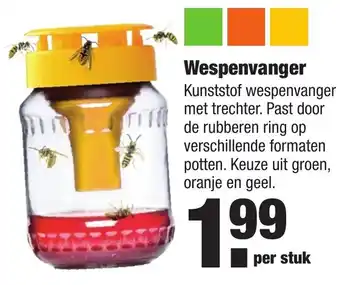 ALDI Wespenvanger aanbieding