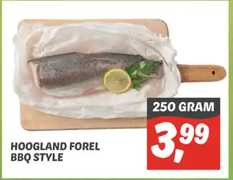 Dekamarkt Hoogland Forel Bbq Style aanbieding