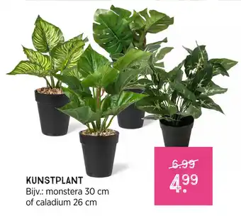 Xenos Kunstplant Bijv.: monstera 30 cm of caladium 26 cm aanbieding