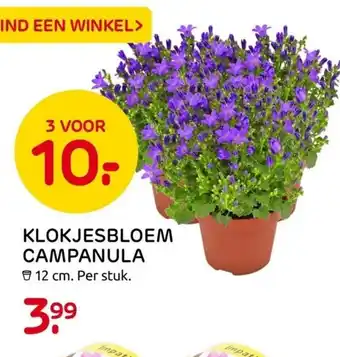 Praxis Klokjesbloem campanula 12 cm aanbieding