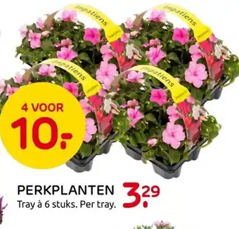 Praxis Perkplanten aanbieding