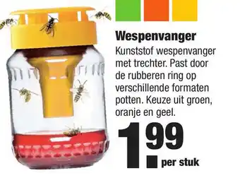 ALDI Wespenvanger aanbieding