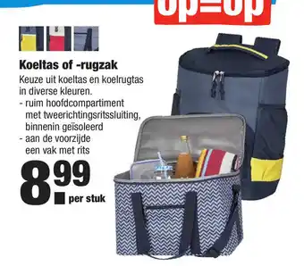 ALDI Koeltas Of -rugzak aanbieding