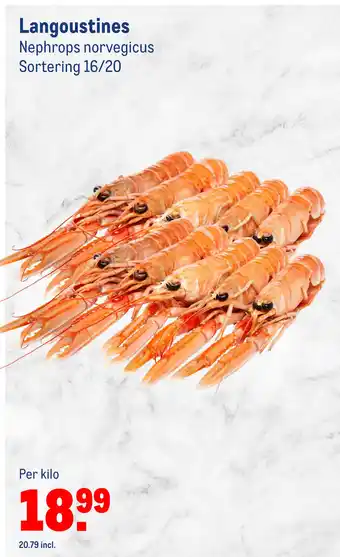 Makro Langoustines aanbieding