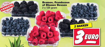 Nettorama Bramen, Frambozen of Blauwe Bessen aanbieding