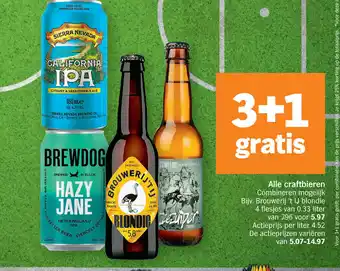 Brouwerij 't IJ flesjes 0,33 liter