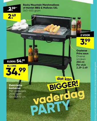 Big Bazar Rocky Mountain Marshmallows Of Hamlet BBQ & Mallows XXL, Oosterse Prins Saus Of Elektrische Barbecue aanbieding