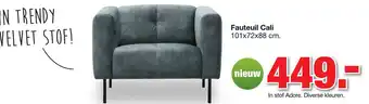 Budget Home Store Fauteuil Cali aanbieding