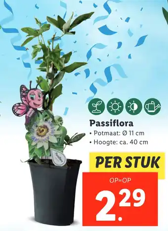 Lidl Passiflora aanbieding