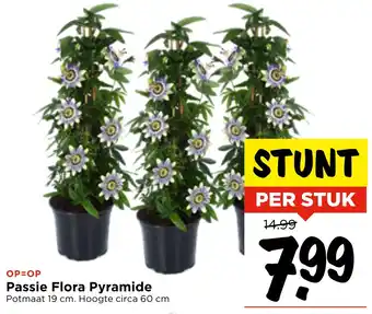 Vomar Voordeelmarkt Passie Flora Pyramide aanbieding