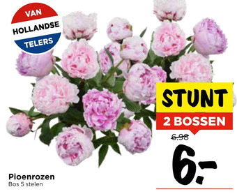 Vomar Voordeelmarkt Pioenrozen aanbieding