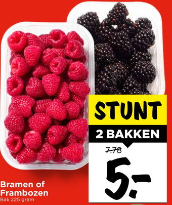 Vomar Voordeelmarkt Bramen of Frambozen aanbieding