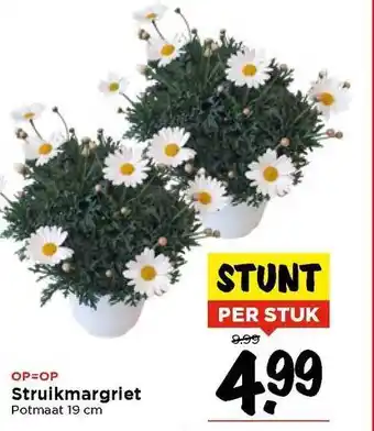 Vomar Voordeelmarkt Struikmargriet aanbieding