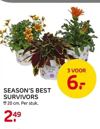 Praxis Season's best survivors aanbieding