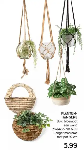 Xenos Plantenhangers aanbieding