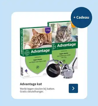 Medpets.nl Advantage kat aanbieding