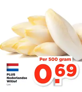 PLUS PLUS Nederlandse Witlof aanbieding