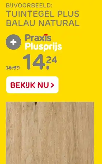 Praxis Tuintegel plus balau natural aanbieding