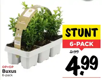 Vomar Voordeelmarkt Buxus aanbieding