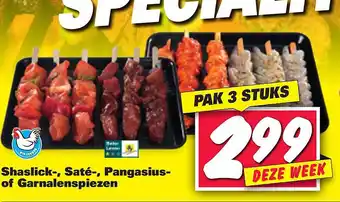Nettorama Shaslick-, saté-, pangasius- of garnalenspiezen aanbieding
