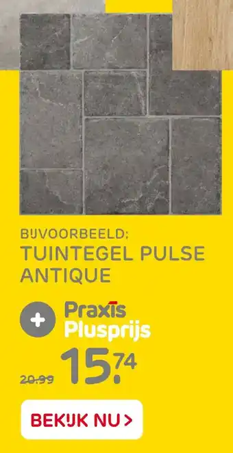 Praxis TUINTEGEL PULSE ANTIQUE aanbieding