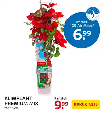 Praxis Klimplant Premium Mix aanbieding