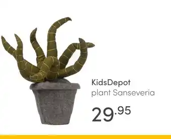 Baby & Tiener KidsDepot plant Sanseveria aanbieding