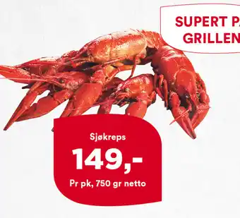 Iceland Sjøkreps tilbud