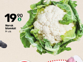 Matkroken Norsk Blomkål tilbud